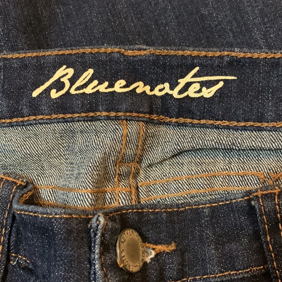 Bluenotes NWOT Paris Low-Rise Bootcut US28/32 - Picture 4 of 6